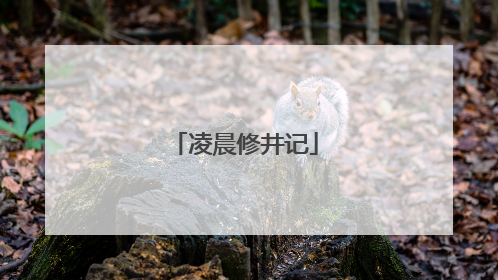 凌晨修井记