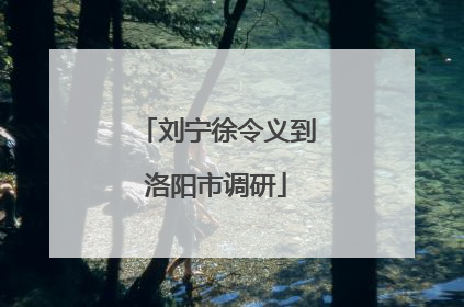刘宁徐令义到洛阳市调研