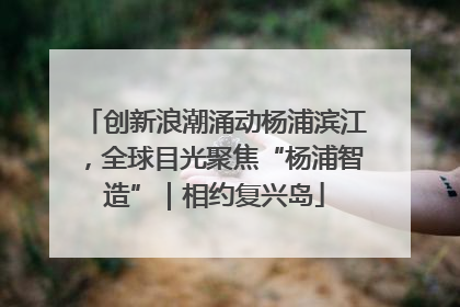 创新浪潮涌动杨浦滨江，全球目光聚焦“杨浦智造”｜相约复兴岛