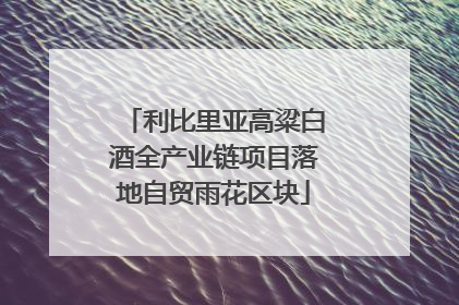 利比里亚高粱白酒全产业链项目落地自贸雨花区块