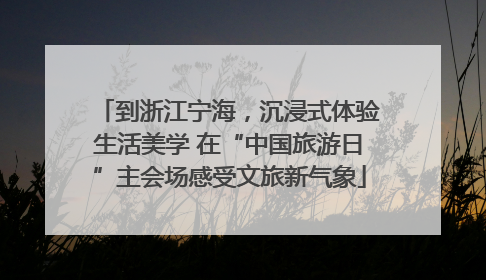 到浙江宁海，沉浸式体验生活美学 在“中国旅游日”主会场感受文旅新气象