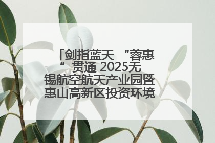剑指蓝天 “蓉惠”贯通 2025无锡航空航天产业园暨惠山高新区投资环境推介会在成都举行