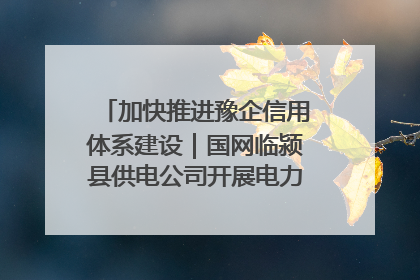 加快推进豫企信用体系建设｜国网临颍县供电公司开展电力行业信用企业现场咨询访谈工作