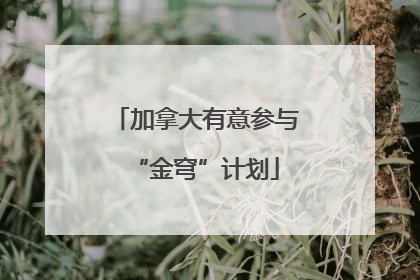 加拿大有意参与“金穹”计划