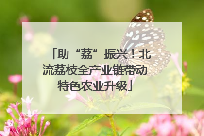 助“荔”振兴！北流荔枝全产业链带动特色农业升级