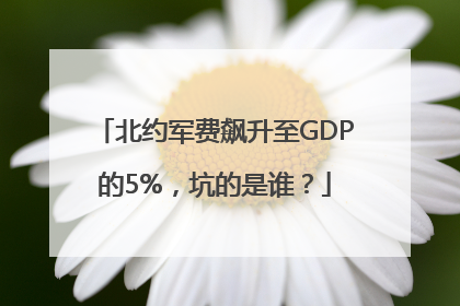 北约军费飙升至GDP的5%，坑的是谁？