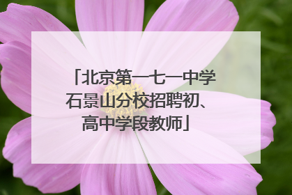 北京第一七一中学石景山分校招聘初、高中学段教师