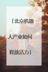 北京机器人产业如何释放活力