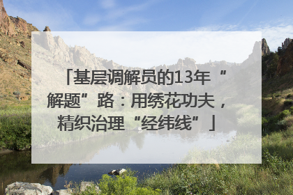 基层调解员的13年“解题”路：用绣花功夫，精织治理“经纬线”