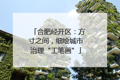 合肥经开区：方寸之间，细绘城市治理“工笔画”