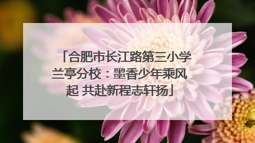 合肥市长江路第三小学兰亭分校：墨香少年乘风起 共赴新程志轩扬