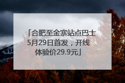 合肥至金寨站点巴士5月29日首发，开线体验价29.9元