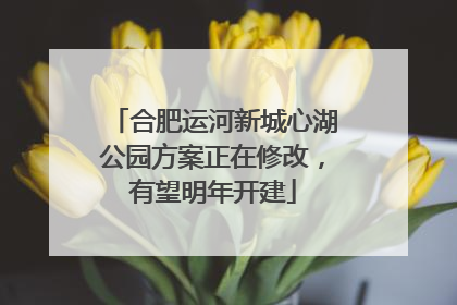 合肥运河新城心湖公园方案正在修改，有望明年开建