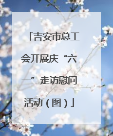 吉安市总工会开展庆“六一”走访慰问活动（图）