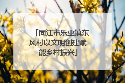 同江市乐业镇东风村以文明创建赋能乡村振兴