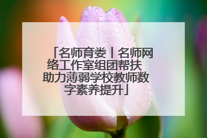 名师育娄丨名师网络工作室组团帮扶 助力薄弱学校教师数字素养提升