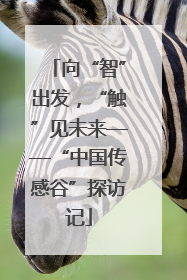 向“智”出发，“触”见未来——“中国传感谷”探访记