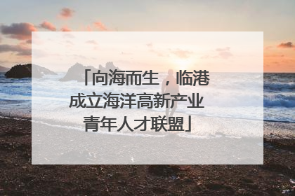 向海而生，临港成立海洋高新产业青年人才联盟