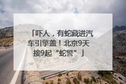吓人，有蛇藏进汽车引擎盖！北京9天接9起“蛇警”