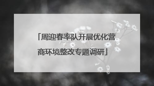 周迎春率队开展优化营商环境整改专题调研