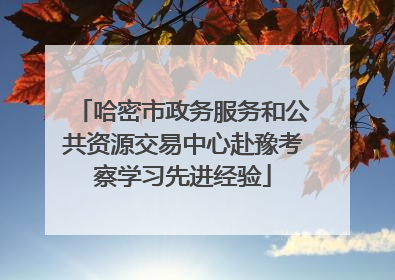 哈密市政务服务和公共资源交易中心赴豫考察学习先进经验