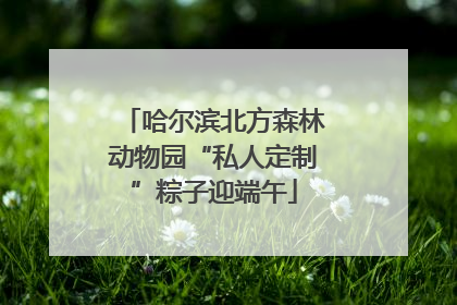 哈尔滨北方森林动物园“私人定制”粽子迎端午