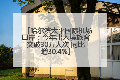哈尔滨太平国际机场口岸：今年出入境旅客突破30万人次 同比增30.4%