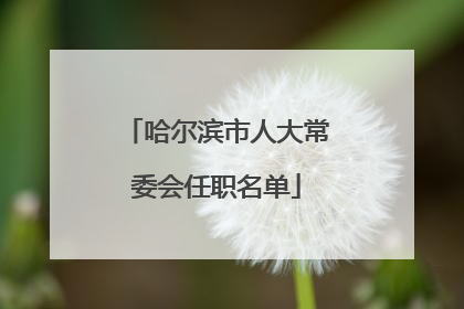 哈尔滨市人大常委会任职名单