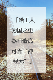 哈工大为国之重器打造高可靠“神经元”