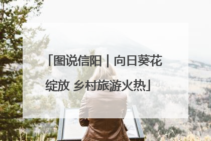 图说信阳｜向日葵花绽放 乡村旅游火热