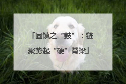 固镇之“鼓”：链聚势起“硬”脊梁
