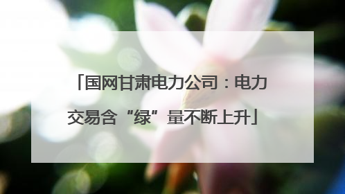 国网甘肃电力公司：电力交易含“绿”量不断上升
