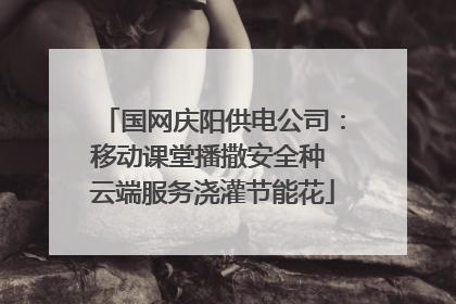 国网庆阳供电公司：移动课堂播撒安全种 云端服务浇灌节能花