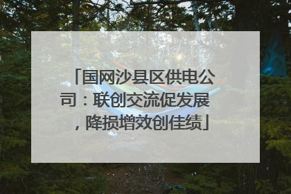 国网沙县区供电公司：联创交流促发展，降损增效创佳绩