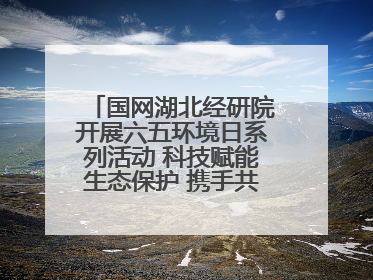 国网湖北经研院开展六五环境日系列活动 科技赋能生态保护 携手共建绿色电网