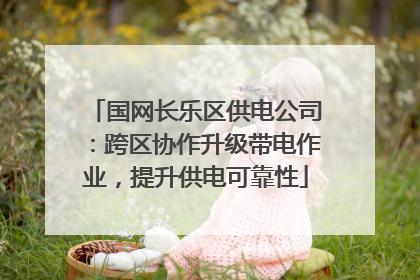 国网长乐区供电公司：跨区协作升级带电作业，提升供电可靠性