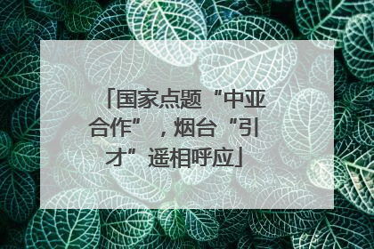 国家点题“中亚合作”，烟台“引才”遥相呼应
