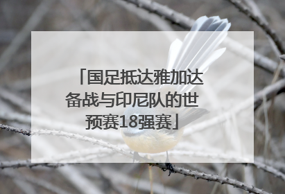 国足抵达雅加达备战与印尼队的世预赛18强赛