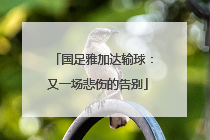 国足雅加达输球：又一场悲伤的告别