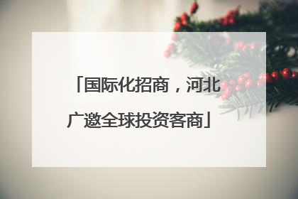 国际化招商，河北广邀全球投资客商