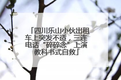 四川乐山小伙出租车上突发不适，三连电话“碎碎念”上演教科书式自救