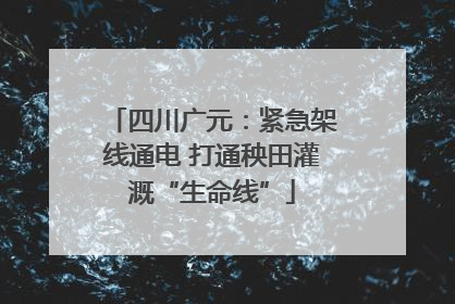 四川广元：紧急架线通电 打通秧田灌溉“生命线”