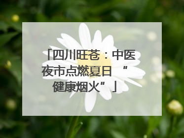 四川旺苍：中医夜市点燃夏日 “健康烟火”