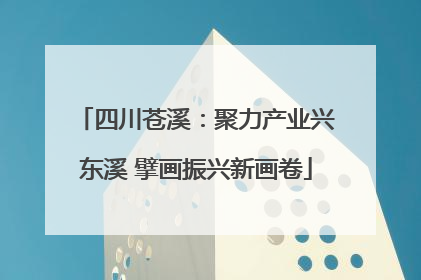 四川苍溪：聚力产业兴东溪 擘画振兴新画卷