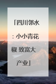 四川邻水：小小青花椒 致富大产业