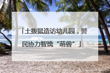 土拨鼠造访幼儿园，警民协力智擒“萌兽”