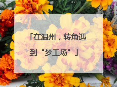 在温州，转角遇到“梦工场”