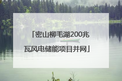 密山柳毛湖200兆瓦风电储能项目并网