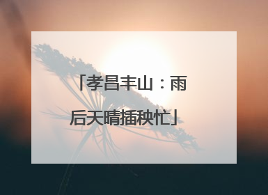 孝昌丰山：雨后天晴插秧忙