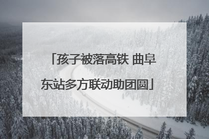 孩子被落高铁 曲阜东站多方联动助团圆